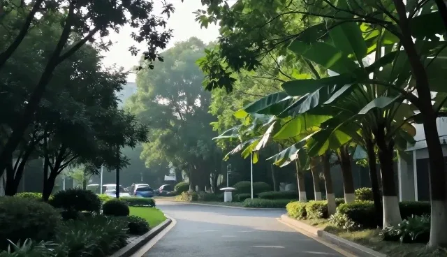 AI提示词工具使用中的常见误区与检查要点